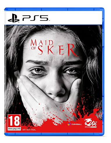 Jeu Maid of Sker Playstation 5