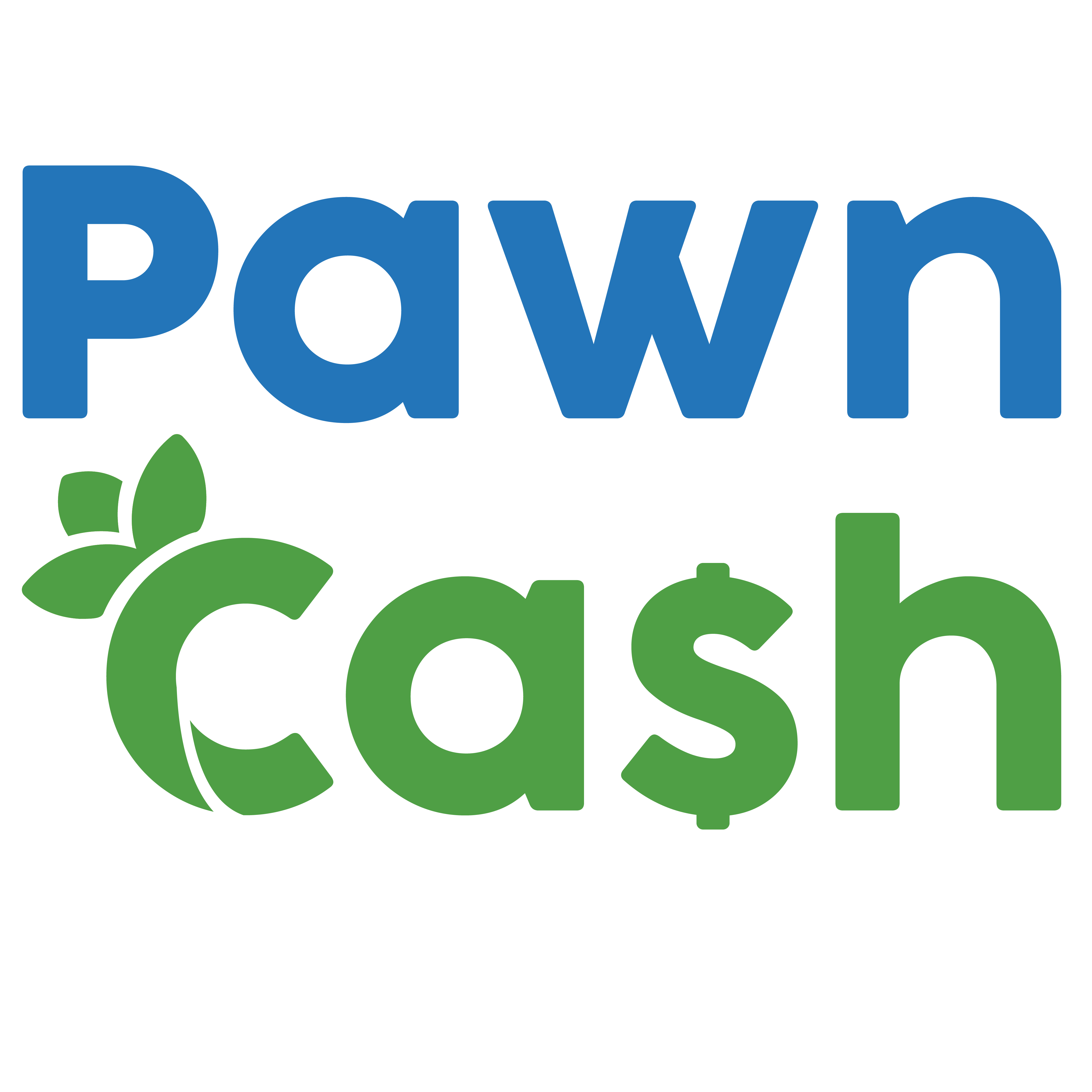 Pawn Cash